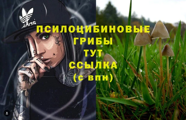 марки lsd Алексин