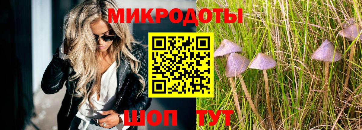 Йошкар-Ола  Галлюциногенные грибы Psilocybe  Псилоцибиновые грибы ЛСД  Вход с VPN 