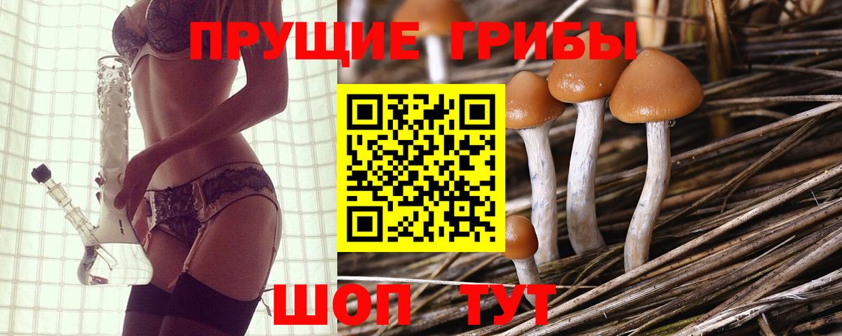 Псилоцибиновые грибы Cubensis Йошкар-Ола